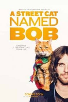Sokak Kedisi – A Street Cat Named Bob